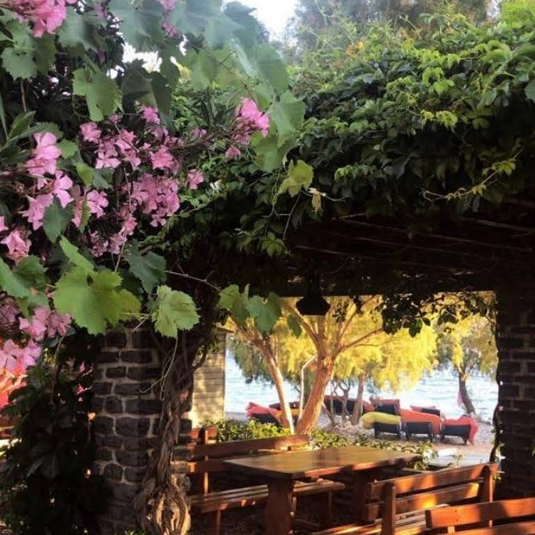 Deliağa Restoran